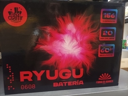 Foto de BATERIA RYUGU